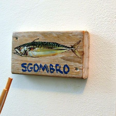 La Sciabbega B&B Porto Recanati Zewnętrze zdjęcie